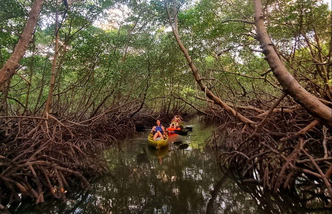 Tour en kayak al atardecer por los manglares de la isla de Boipeba - Foto 5