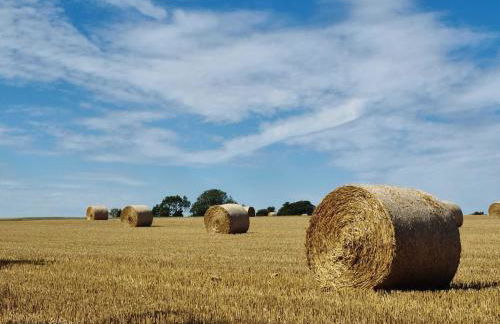 Goose Shed Rural Farm Cottage in Stelling Minnis Canterbury - Area of Outstanding Natural Beauty - Foto 12