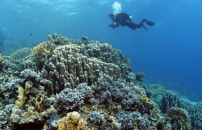 Marina View Residence - Foto 28