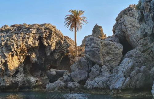 Edelweiss Rent Rooms-Rent a Car - Foto 27