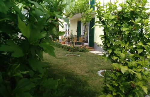 Kakteengarten - Foto 13