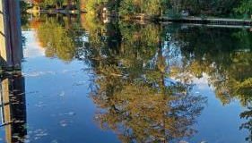 Ferienhaus - Ankerplatz am Werlsee, mit eigenem Bootssteg und Sauna - Foto 2