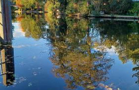 Ferienhaus - Ankerplatz am Werlsee, mit eigenem Bootssteg und Sauna - Foto 2