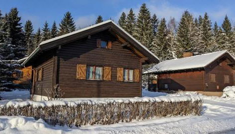 Ferienhaus-Blockhütte im Fichtelgebirge - Nagler See 2 km - Foto 3