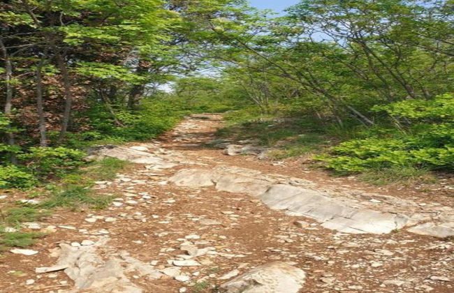 Ancient, Renovated Farmstead With Private, Equipped Garden - Photo 31