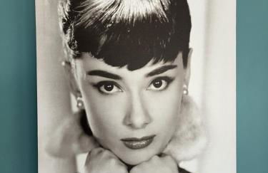 Historic Hall Wing nr York & Leeds free Hot tub - Foto 7