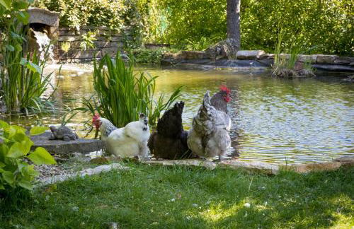 Le Clos du Verger - Foto 12