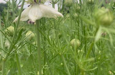 Apartament Blumenblick - Foto 37