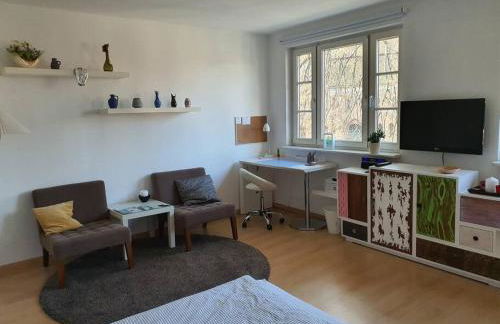 NICO Helles gemütliches Studio Innenstadt HomeOffice Workplace - Foto 6