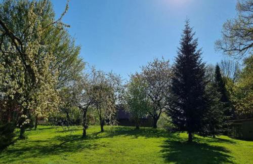 Luxuriose Ferienwohnung in Boddin mit Garten - Foto 61