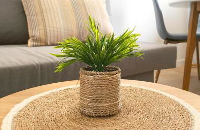 The Sunshine Apartment - Foto 10