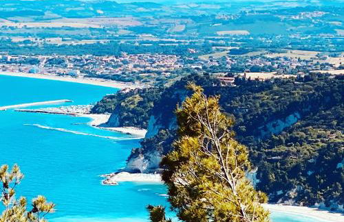 Agriturismo Rossococomero OFFERTA FEBBRAIO! - Foto 3