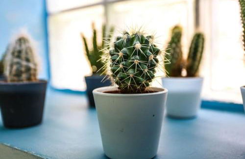 F3 80 m2 Longére plain pied au centre auxonne. - Foto 19