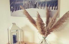 Maison SPA proche gare et centre ville - Photo 9