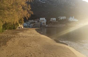 Giannis Gerakios apartments by climbing house - Photo 60