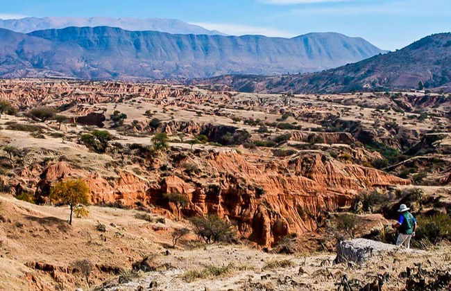 Museo Paleontológico y Arqueológico + Valle de los Gigantes - Foto 4