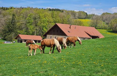 Gîte du cheval blanc - Foto 1