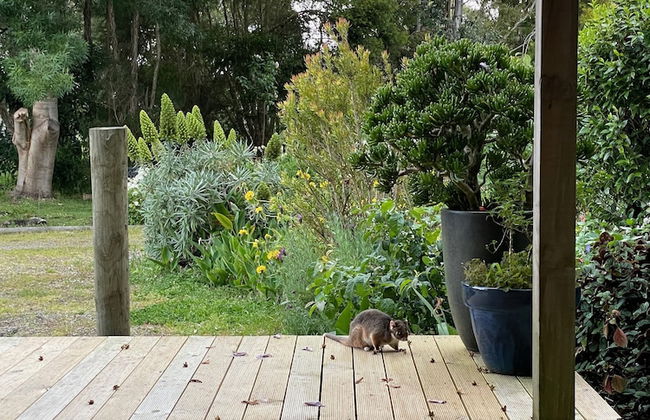 Tindoona Cottages - Foto 47