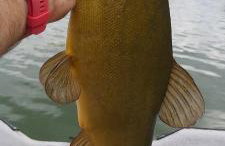 Domek letniskowy Zacisze - Foto 42