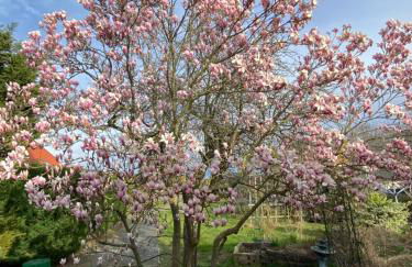 Ferienhaus am Wald - Foto 25