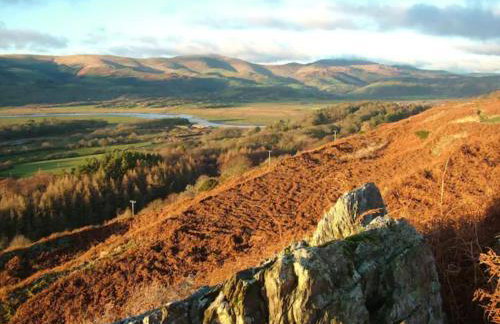 Stunning views of Ynyshir & Southern Snowdonia - Foto 13