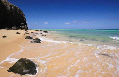 ELE HAUSE Tropical Paradise - Photo 46