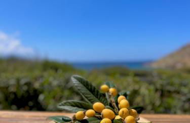 Seaside Studios Arkasa Karpathos - Photo 18