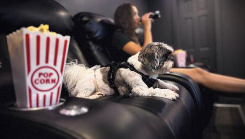 Sunset, Lake and Mtn View, Theater, Hot Tub, Xbox, Close to Sunday River - Foto 3