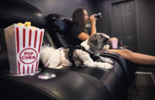 Sunset, Lake and Mtn View, Theater, Hot Tub, Xbox, Close to Sunday River - Foto 3