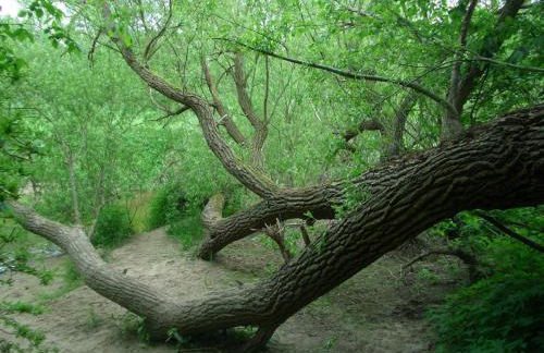 Familienapartment Neubukow - Foto 24