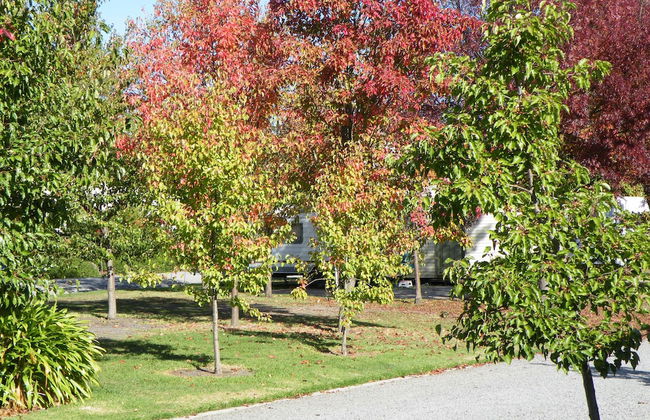 Lake Hamilton Motor Village & Caravan Park - Photo 51