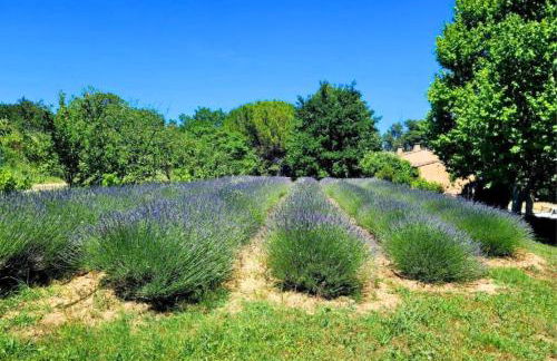 Joli mas "Rêve de lune" en plein coeur du Luberon - Foto 63