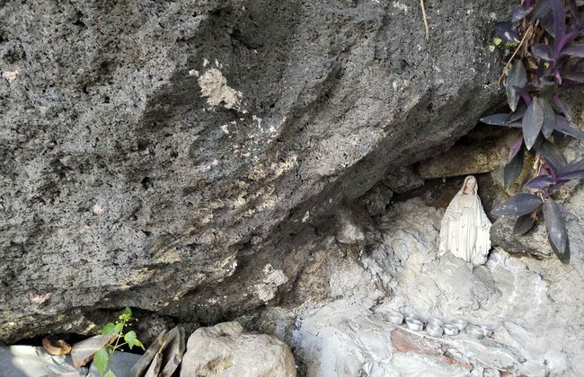 Visite à la découverte de l'Etna à Catane - Photo 6