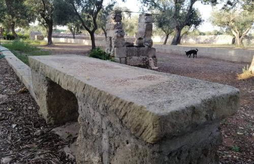 Villa Mios - Foto 35