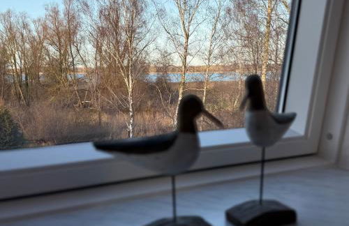 Ferienwohnung Bernsteinsucher städtische Bestlage - Foto 10