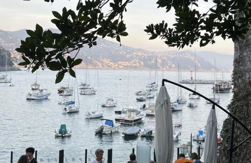 Aquarium Apt SML - Parcheggio Gratis, Terrazzo - Foto 32