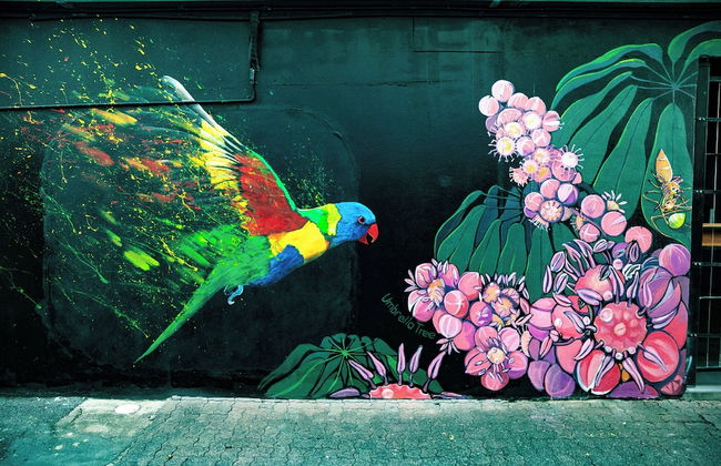 Riviera Mackay - Photo 29