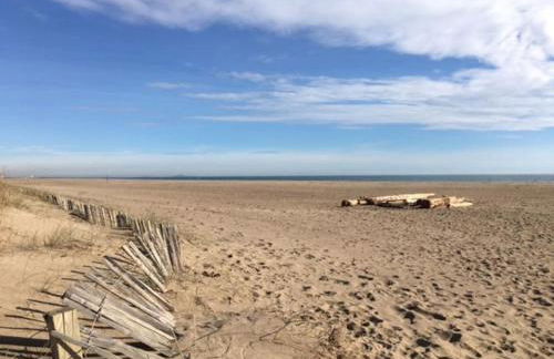 CHALET la Perle de Gruissan - Foto 15