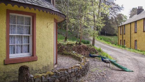 Tinkerbell - Photo 5