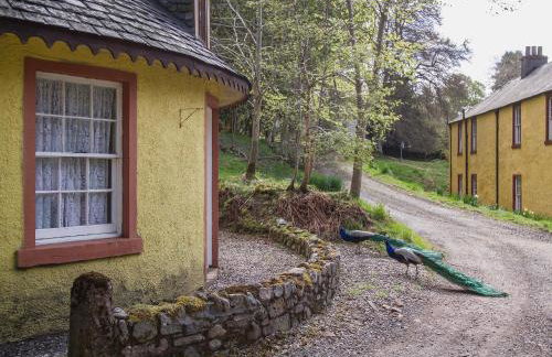 Tinkerbell - Foto 13