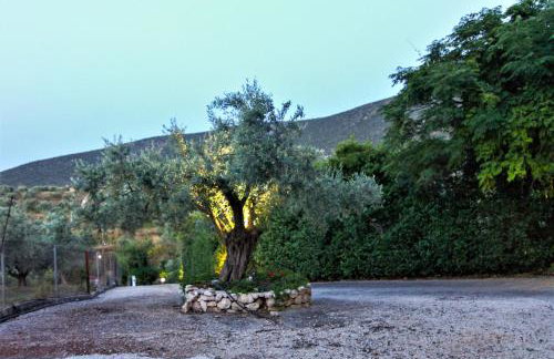 Villa Korina - Foto 66