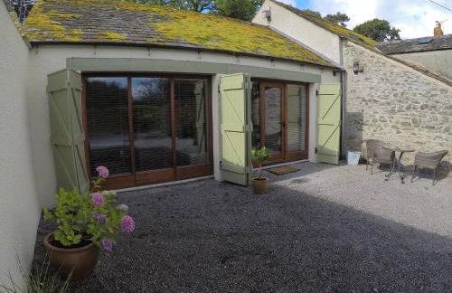 The Little Fish - Foto 10