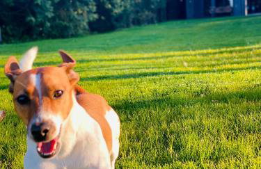 Okno Na Wodę - Foto 13