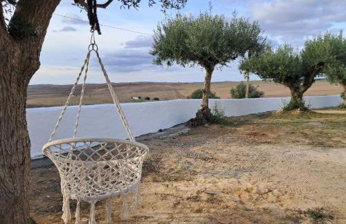 Canto da Planície - Foto 41