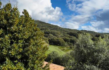 Authentique Casellu en pierre à Porticcio avec vue sur la mer - Foto 19