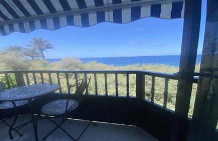 El BAJIO Nr 6 - Foto 8