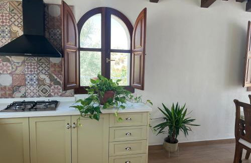 Casa -Cueva Paraje De Los Majuelos - Foto 64