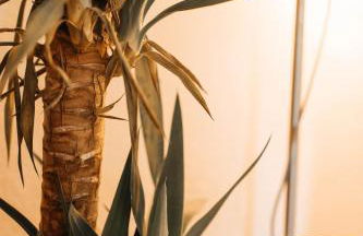 Costa Cabral Porto Flat - Foto 17