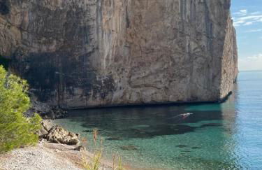 Can Luc Altea - Photo 71