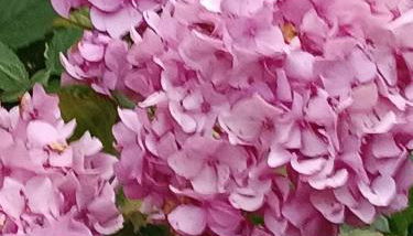 Gli Orti di Mulina le Apuane con parcheggio privato e WiFi - Foto 3